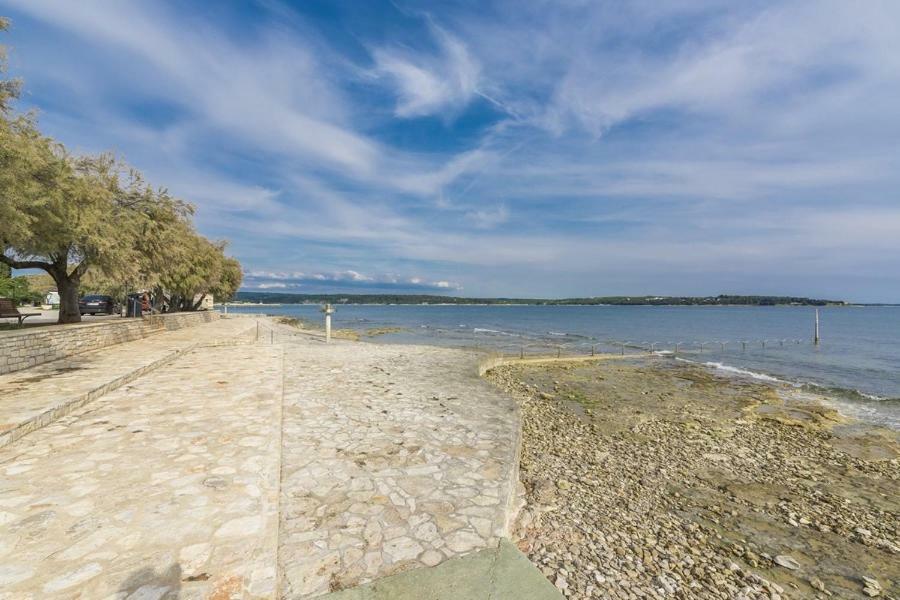 Apartment Lion Novigrad Istria 외부 사진
