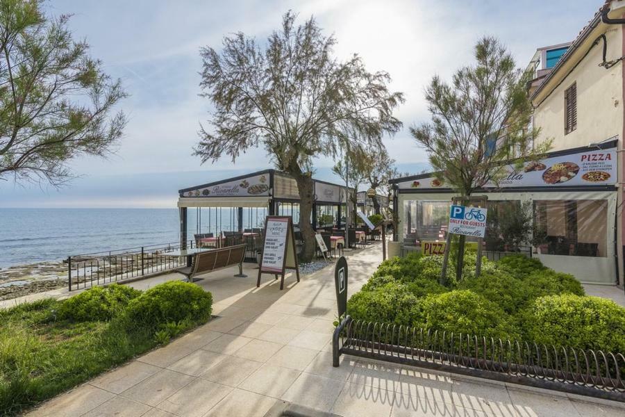 Apartment Lion Novigrad Istria 외부 사진