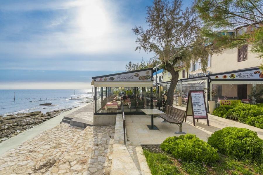 Apartment Lion Novigrad Istria 외부 사진